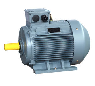 HIGH EFFICIENCY MOTORS (IE3)