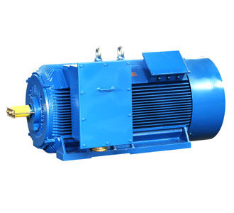 STANDARD HIGH VOLTAGE MOTORS (IP54/IP55)