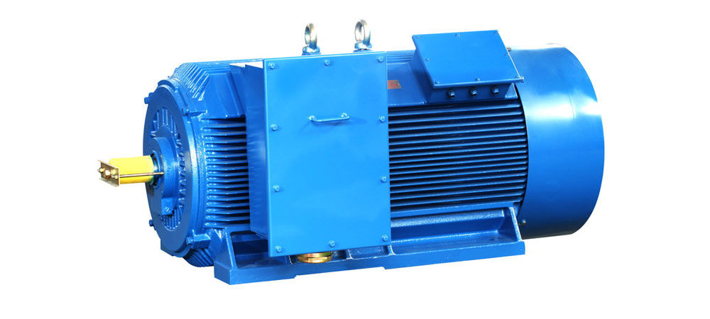 STANDARD HIGH VOLTAGE MOTORS (IP54/IP55)