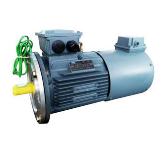 VARIABLE FREQUENCY MOTORS
