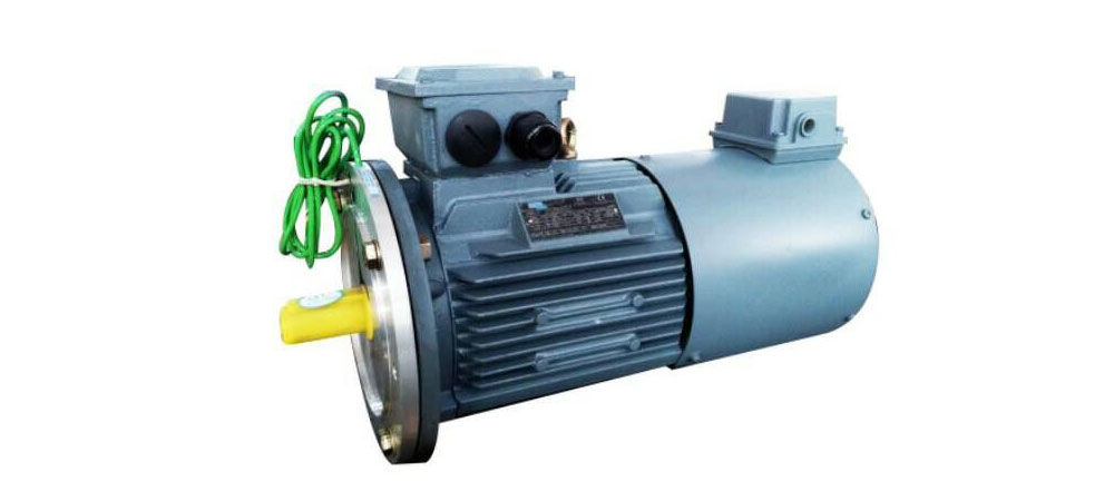 VARIABLE FREQUENCY MOTOR